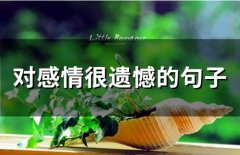 很无能为力很遗憾的句子