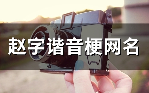 赵字谐音梗网名 赵字谐音梗网名