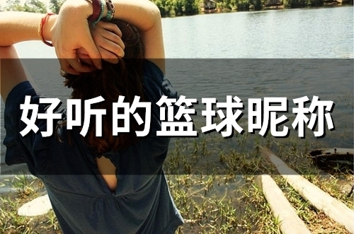 好听的篮球昵称(好听的篮球昵称女生)