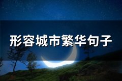 形容城市繁华句子 描述大城市繁华的句子(66句)