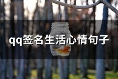 qq签名生活心情句子 适合个性签名的句子