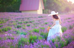 跟莲花有关的诗句 形容莲花的高雅的诗句(精选26句)