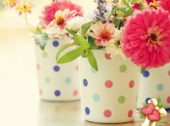 发表朋友圈诚实的说说(65句)