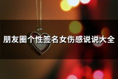 朋友圈个性签名女伤感说说大全