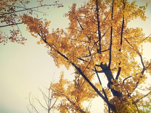 男生霸气很酷的网名大全(精选176个) 男生霸气炫酷霸气网名