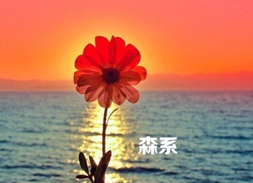 好听的股票群名字大全(78个)(好听的股票群名称)