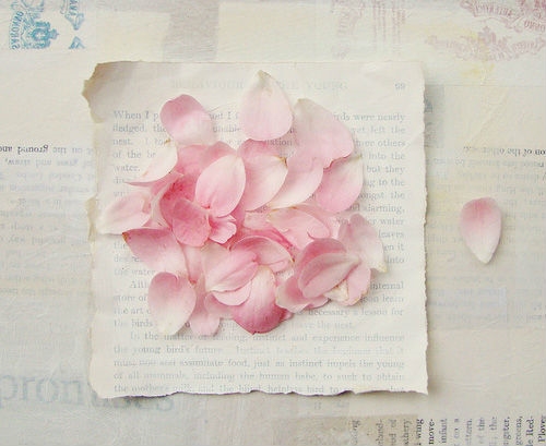 关于安静的微信网名(精选371个) 关于安静的微信名