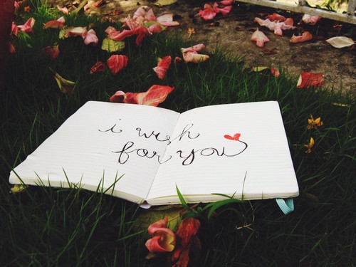 容易上热门的文案句子(233句)