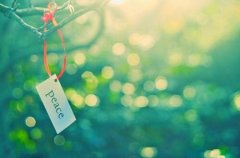 情感的正能量句子(93句)