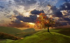 早安简洁的句子说说(98句)