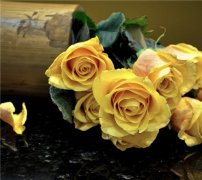 生活走心文案句子(精选63句)