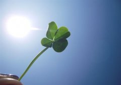 快手女生超嗲的撒娇卖萌句子(98句)