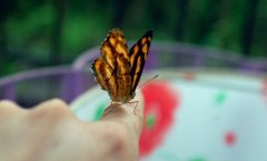 伤感不开心的句子(74句)