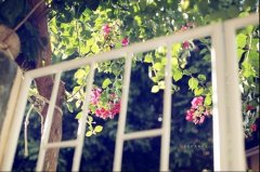 时光无情来去匆匆的句子(74句)