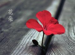 描写操场的句子(精选62句)