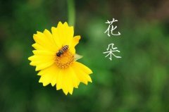 记录一下美好时光的句子(精选81句)