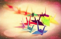 兔年朋友圈说说句子(82句)