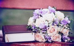 文艺范的亲情句子(精选167句)