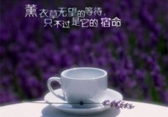 一起来学学夸赞女人漂亮的句子(精选132句)