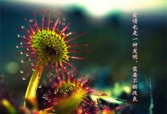 面对现实的唯美句子(63句)