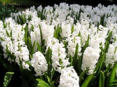 小女生朋友圈说说大全(精选66句)