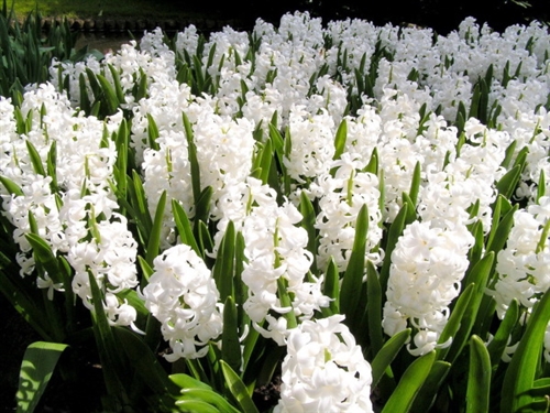 小女生朋友圈说说大全(精选66句)