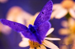 对自己女朋友说的话(精选72句)