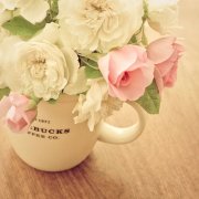 描写清明节的优美句子(精选37句)
