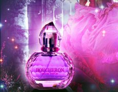 有关婚礼美好的句子短句(精选53句)