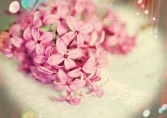 闺蜜失恋了怎么安慰句子短句(35句)