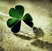 大榕树像什么优美比喻句(57句)