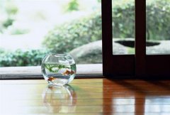 唐人街探案2经典语句(精选68句)