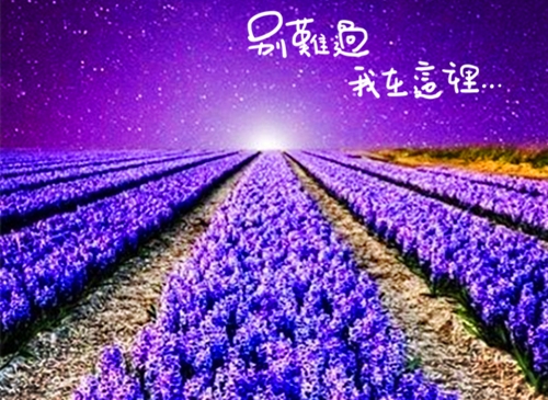 好听有意境的网名(151个)(好听有意境的网名)