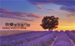 朋友圈早安奋斗激励语句(55句)