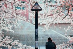 亲情爱情友情的说说短句(精选25句)