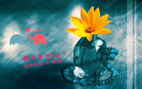 回家来去匆匆的句子说说(36句)