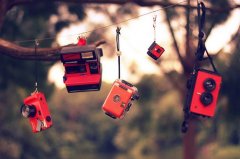 很生僻的爱情诗词名句(共34句)