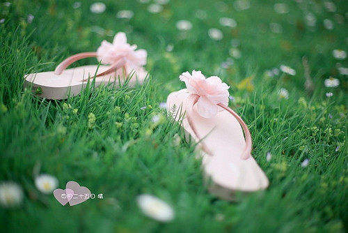 我在时间尽头等你经典语录短句(通用49句) 我在时间尽头等你经典语录短句(通用49句)