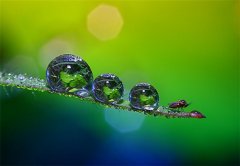 你欺骗了我的感情句子说说(通用76句)