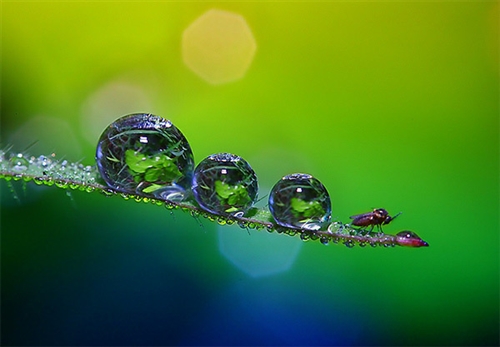 你欺骗了我的感情句子说说(通用76句)