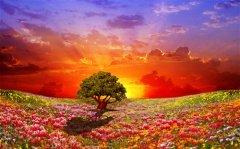 陈情令里面的经典句子(推荐53句)