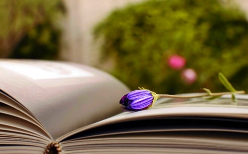 风中的银杏叶好像什么比喻句(推荐26句)