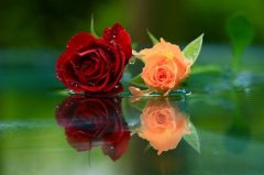 青春励志高燃热血句子(精选76句)