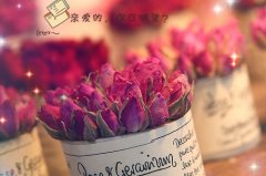 朋友圈日常生活句子大全(精选67句)