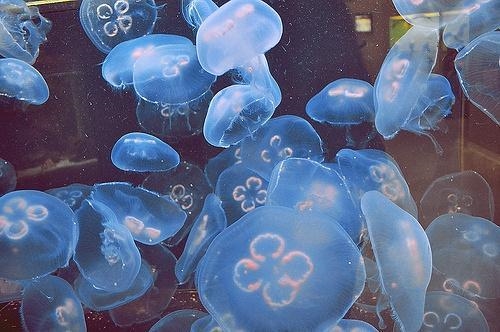 女朋友心情不好的说说(66句)