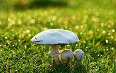 改变努力的句子(共73句)