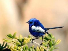 表明时间久了感情会变淡的句子说说(精选78句)