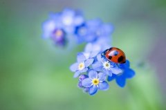 走心的唯美语录句子(67句)