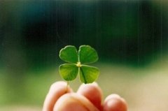 简单的朋友圈句子短句子大全(通用65句)