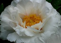 形容酒醉之后的伤感心情的句子短句(热门50句)